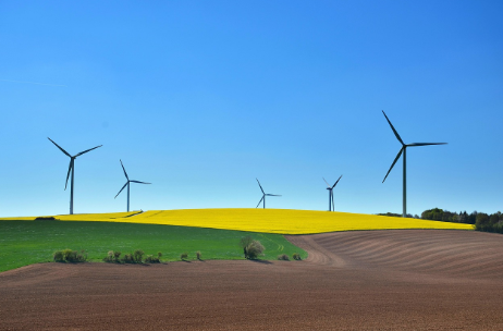 지속가능 사회 시뮬레이터