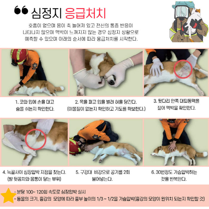 여행 중에는 예상하지 못한 상황이 발생