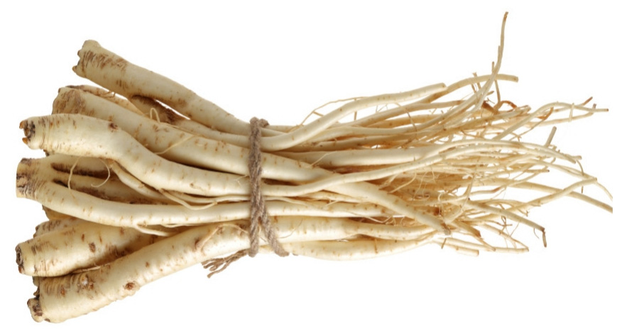 야생에서 채취를 한 도라지를 깨끗하게 세척한 후에 여러 뿌리를 끈으로 묶어 놓은 것을 하얀 바닥 위에 놓고 찍은 사진