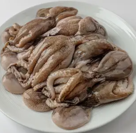 쭈꾸미