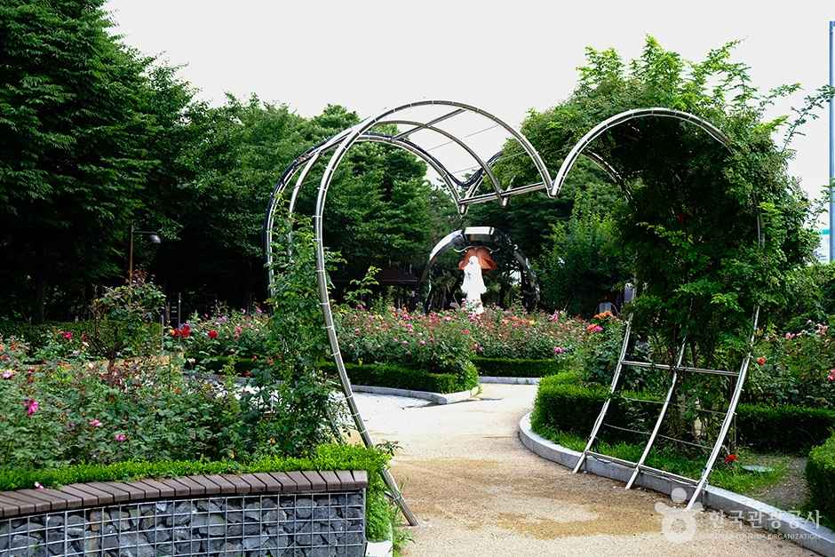 관람 꿀팁 및 준비물 &amp; 연계식당 할인 정보