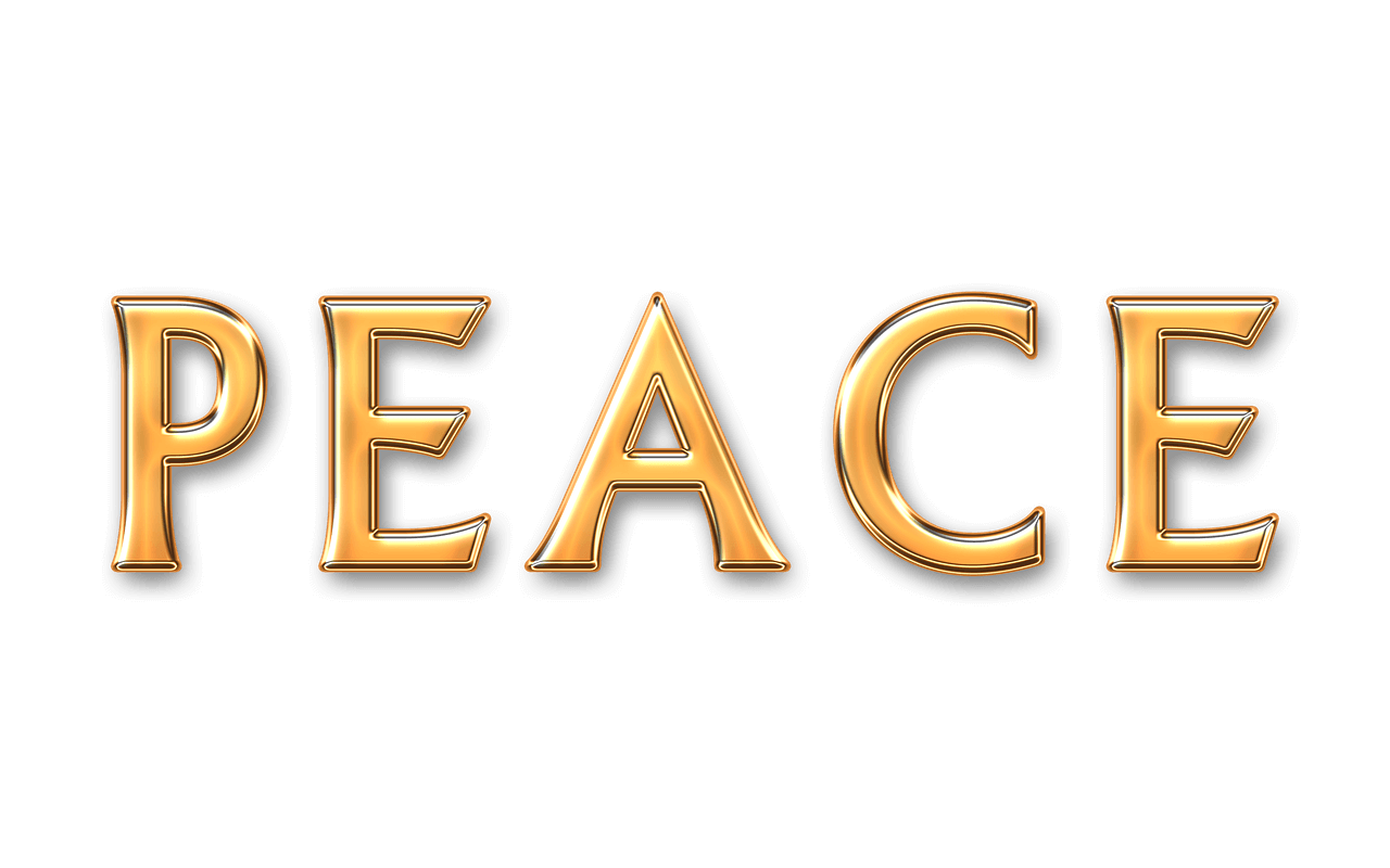 실험 정책이 장기 전략으로 이어지지 않는 구조