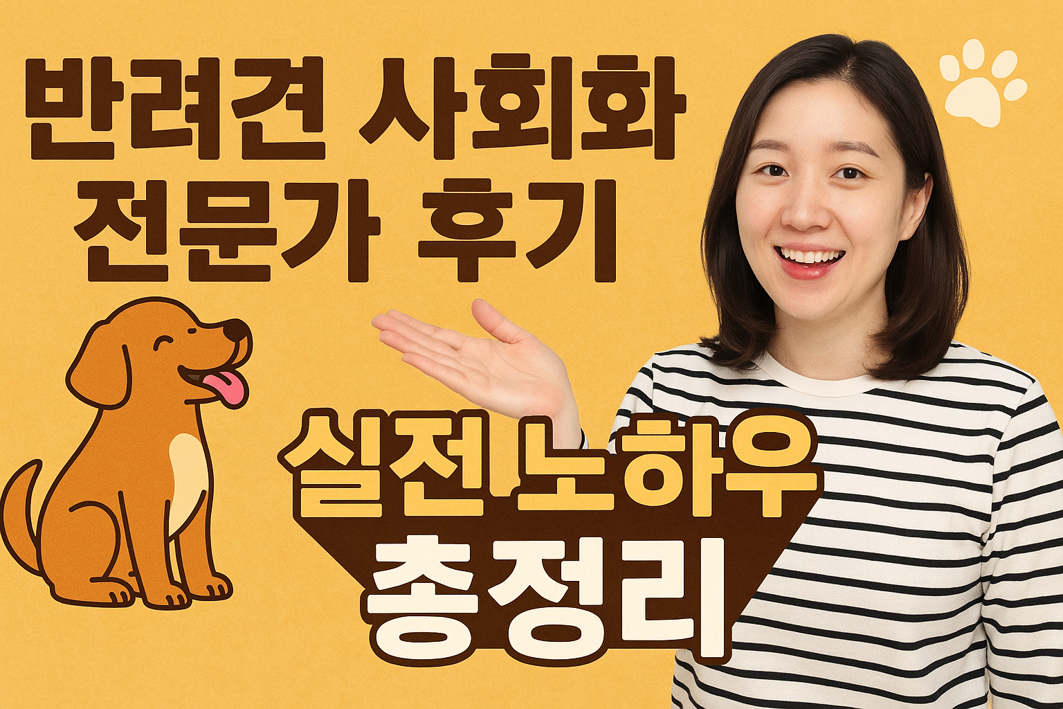 반려견 사회화