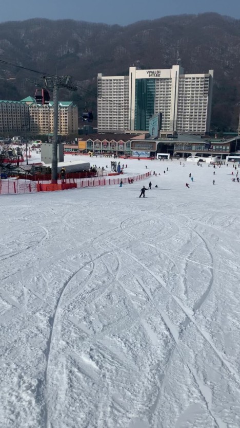 대명 비발디파크