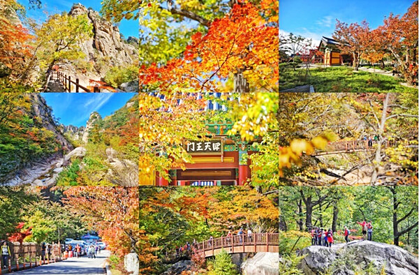 낙산사