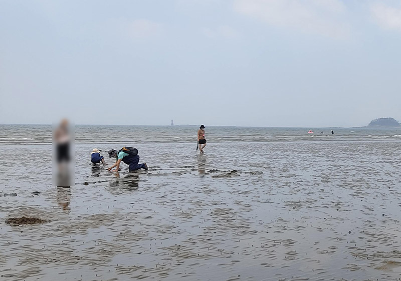 충청남도 태안군 몽산포 자동차야영장