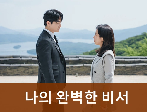 나의 완벽한 비서 드라마