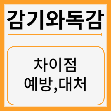감기예방과 독감 썸네일