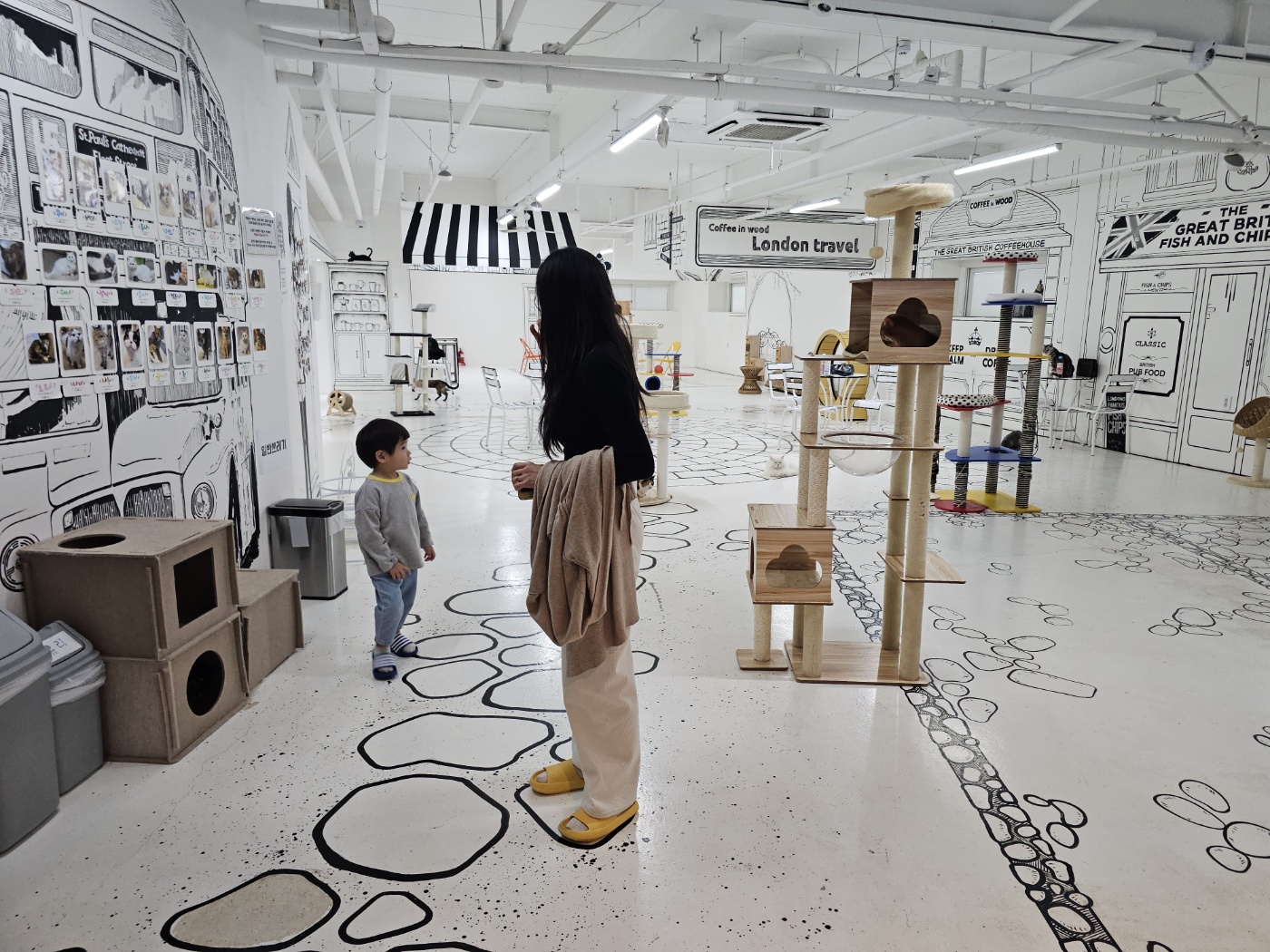 야옹이네 고양이 카페