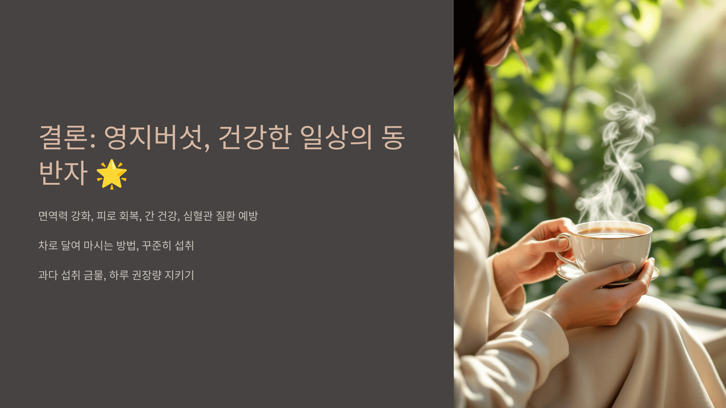 영지버섯 사진입니다.