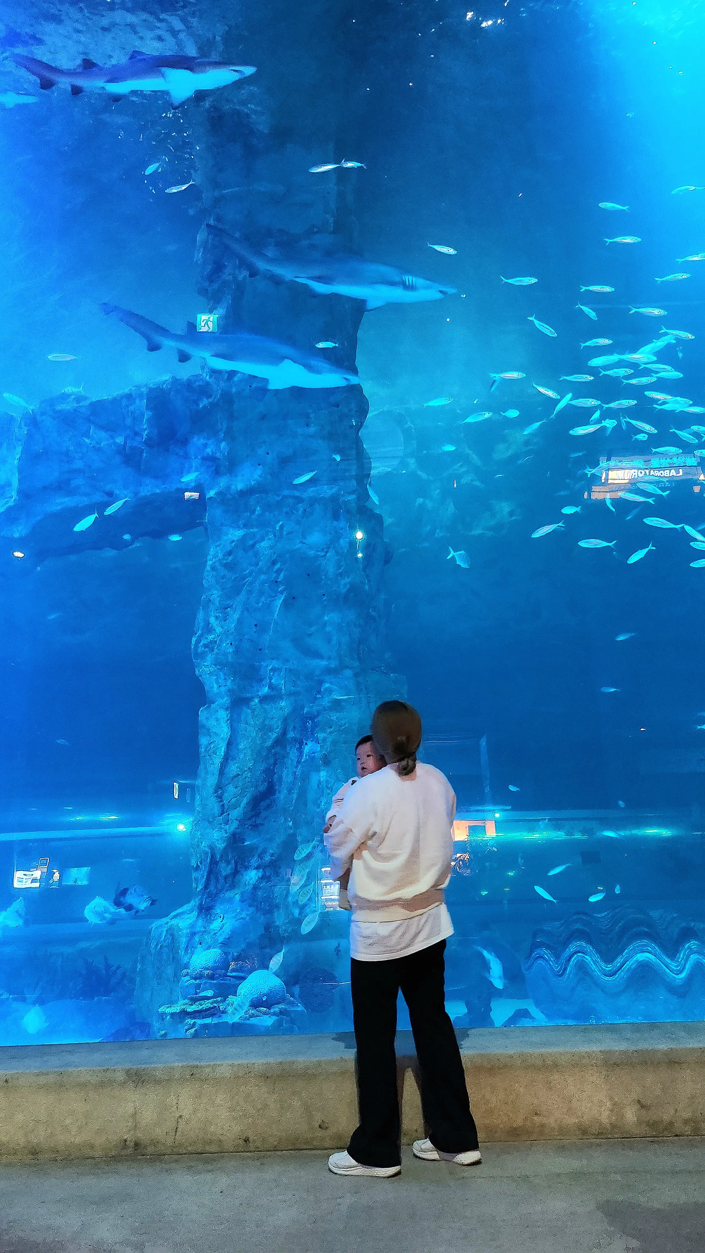 실내-아이랑-가면-좋은곳-롯데월드-아쿠아리움