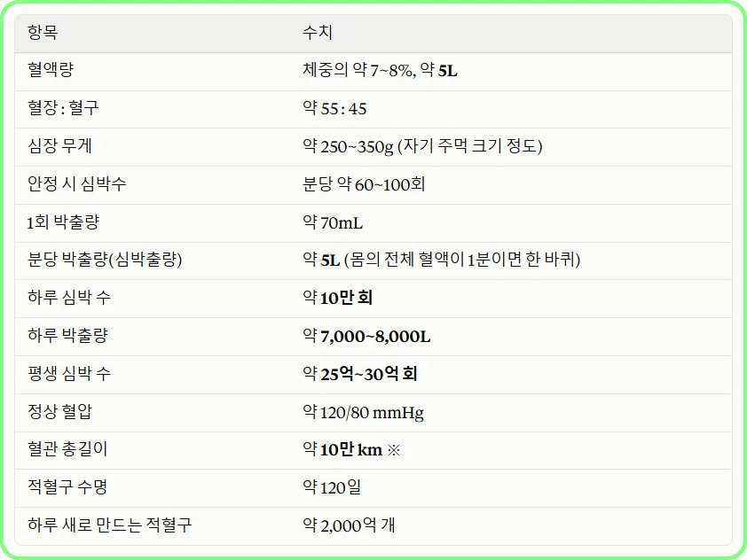 혈액과 순환계의 지도