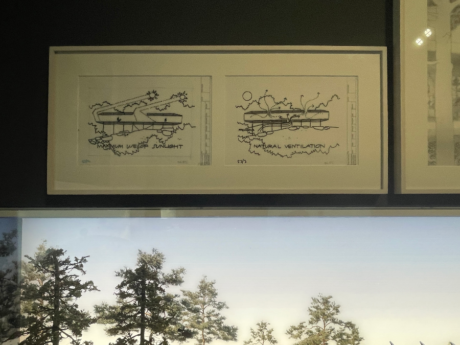 프레드 올센을 위한 숲 속 파빌리온 단면3