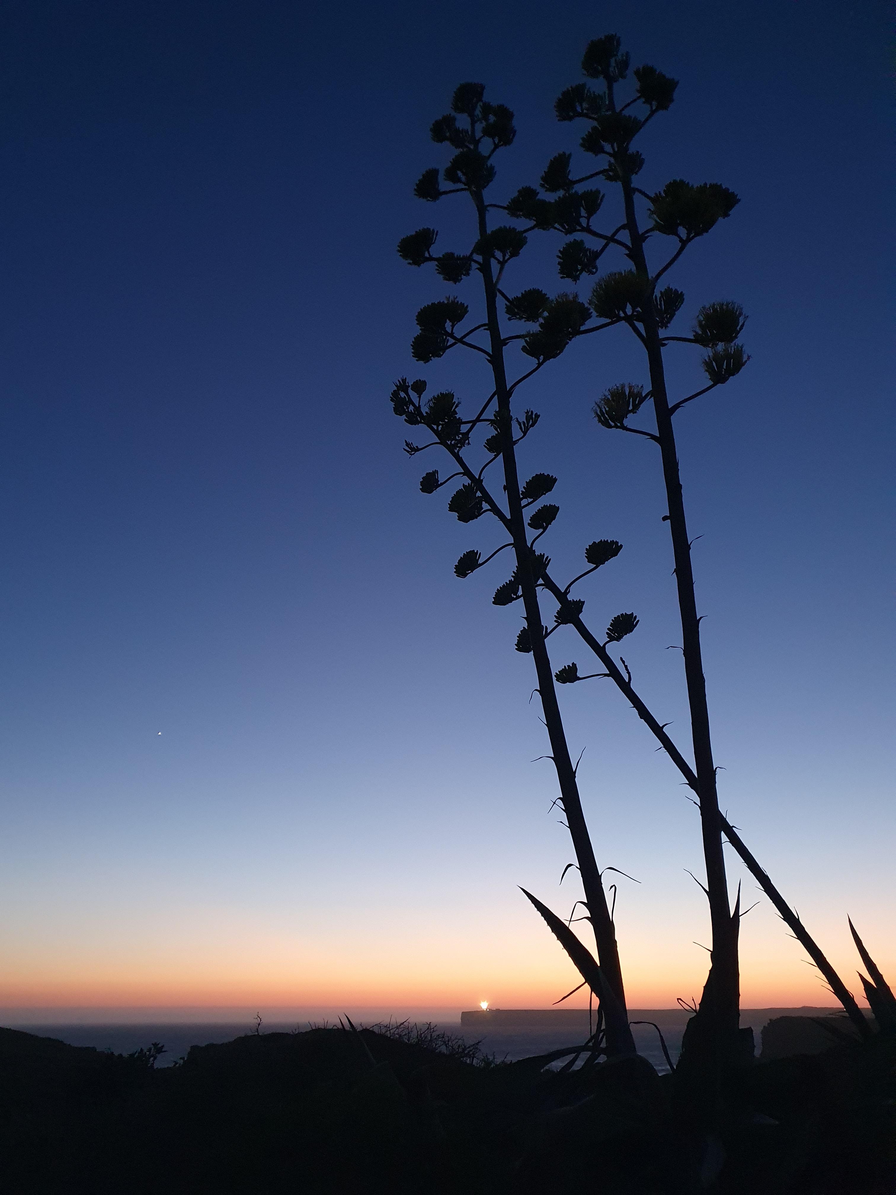 포르투갈 사그레스에서 바라보는 상비센트 곶