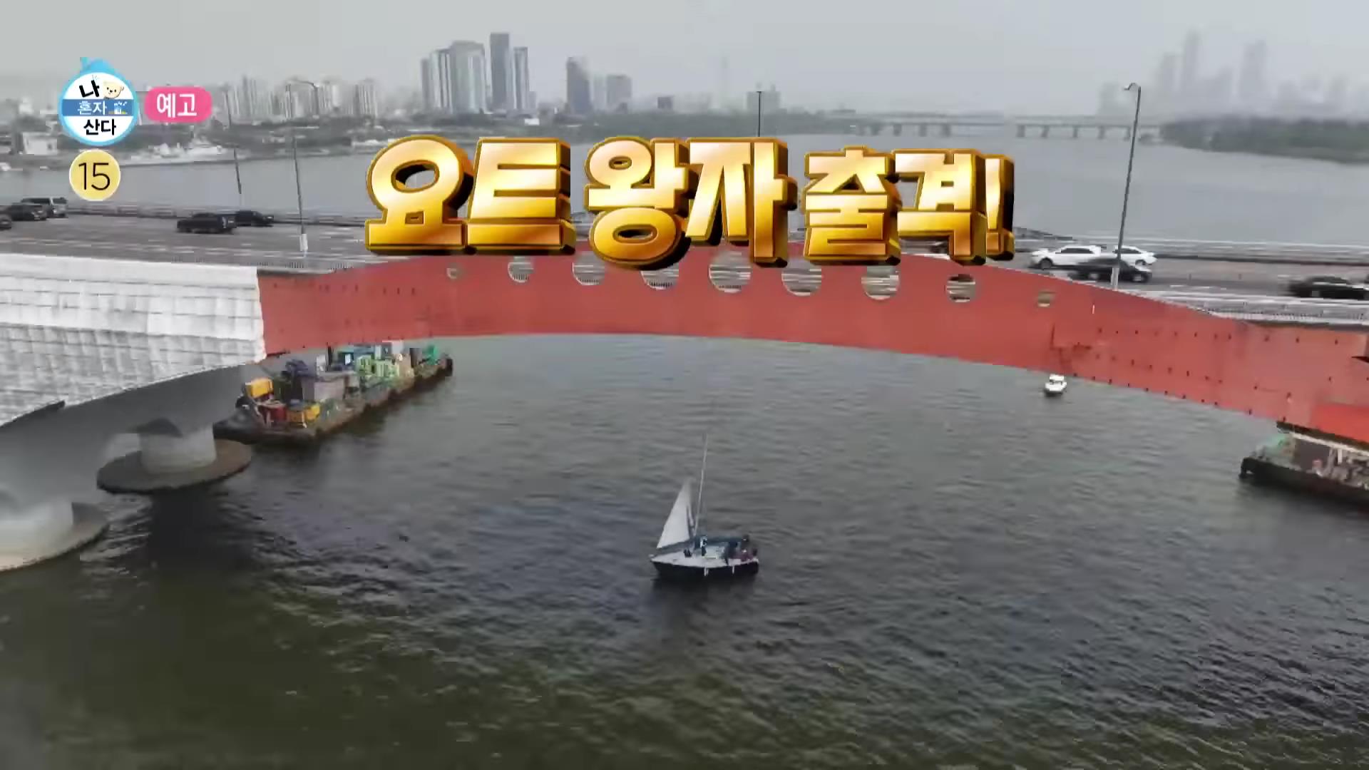 요트 면허 가격, 비용, 시험 절차, 온라인 신청, 시험 면제 교육 신청, 시험없이 교육으로 자격증