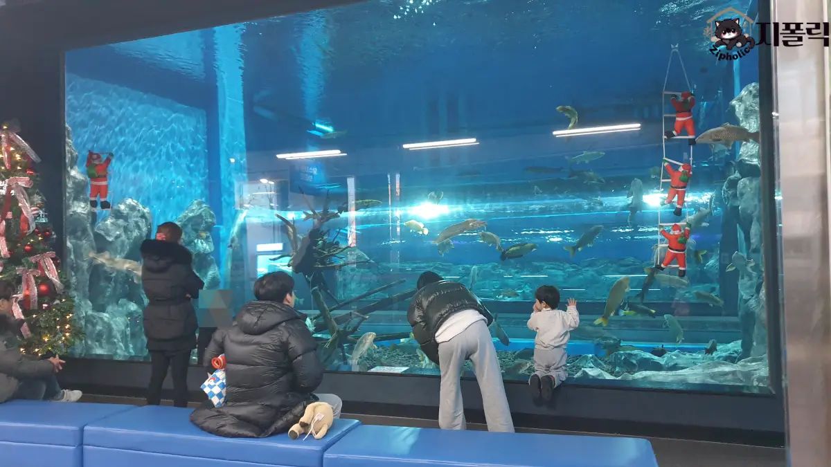 충북아쿠아리움-350톤수조