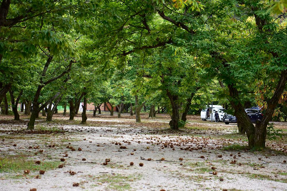 가평 '무지개 서는 마을' 캠핑장 소개