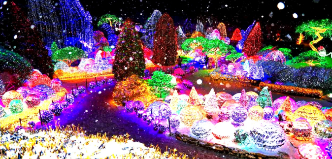 겨울밤이 가장 아름다운 곳, 가평 아침고요수목원 별빛정원 이야기