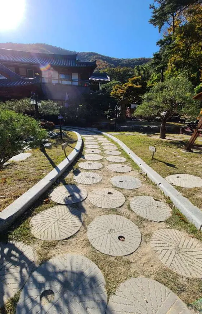 솔향