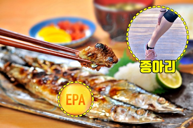 혈전에 좋은 음식 꽁치 오메가3,혈전 녹이는 음식,팁줌