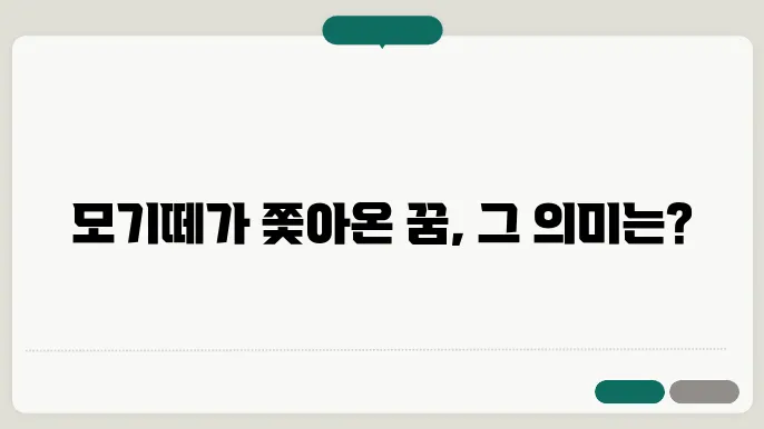 모기떼 꿈