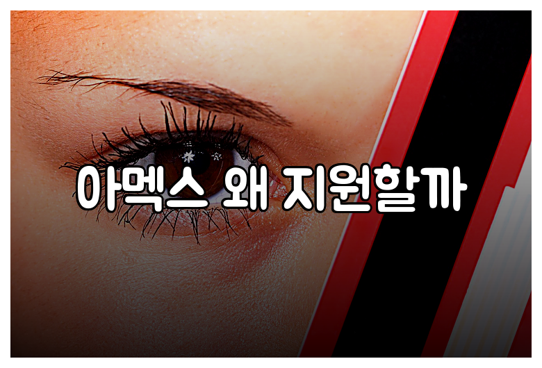 아멕스 왜 지원할까