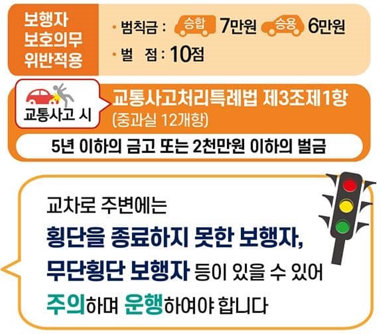 보행자 보호의무 위반적용