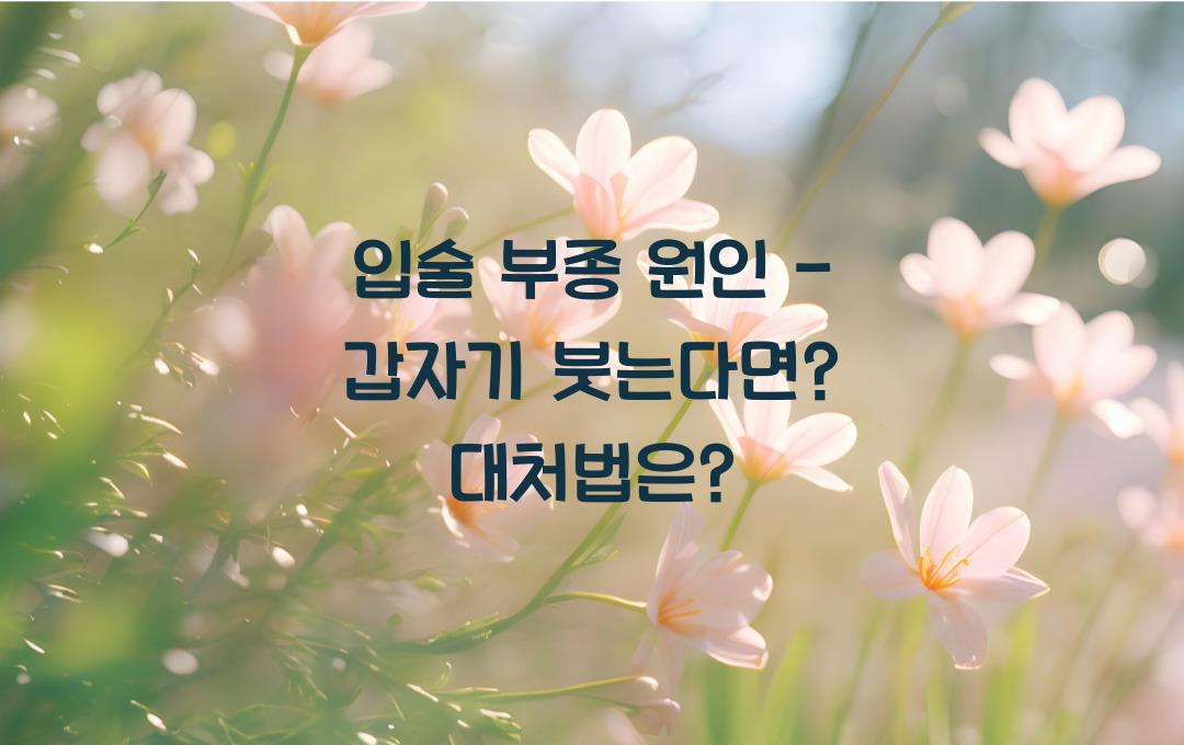 입술 부종 원인 - 갑자기 붓는다면? 알레르기일까?