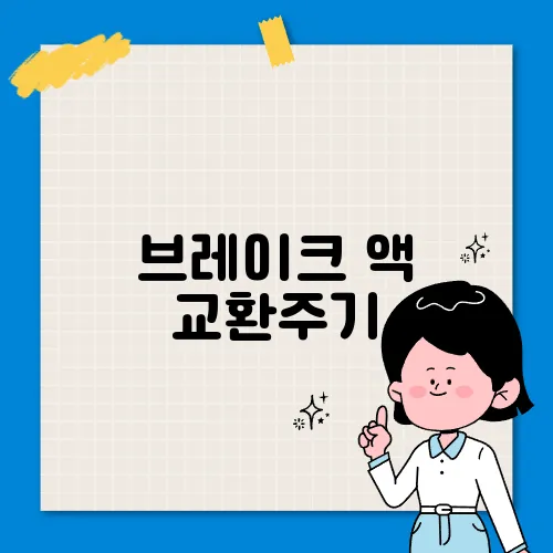 브레이크 액 교환주기