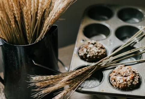 아르기닌이 풍부한 식품