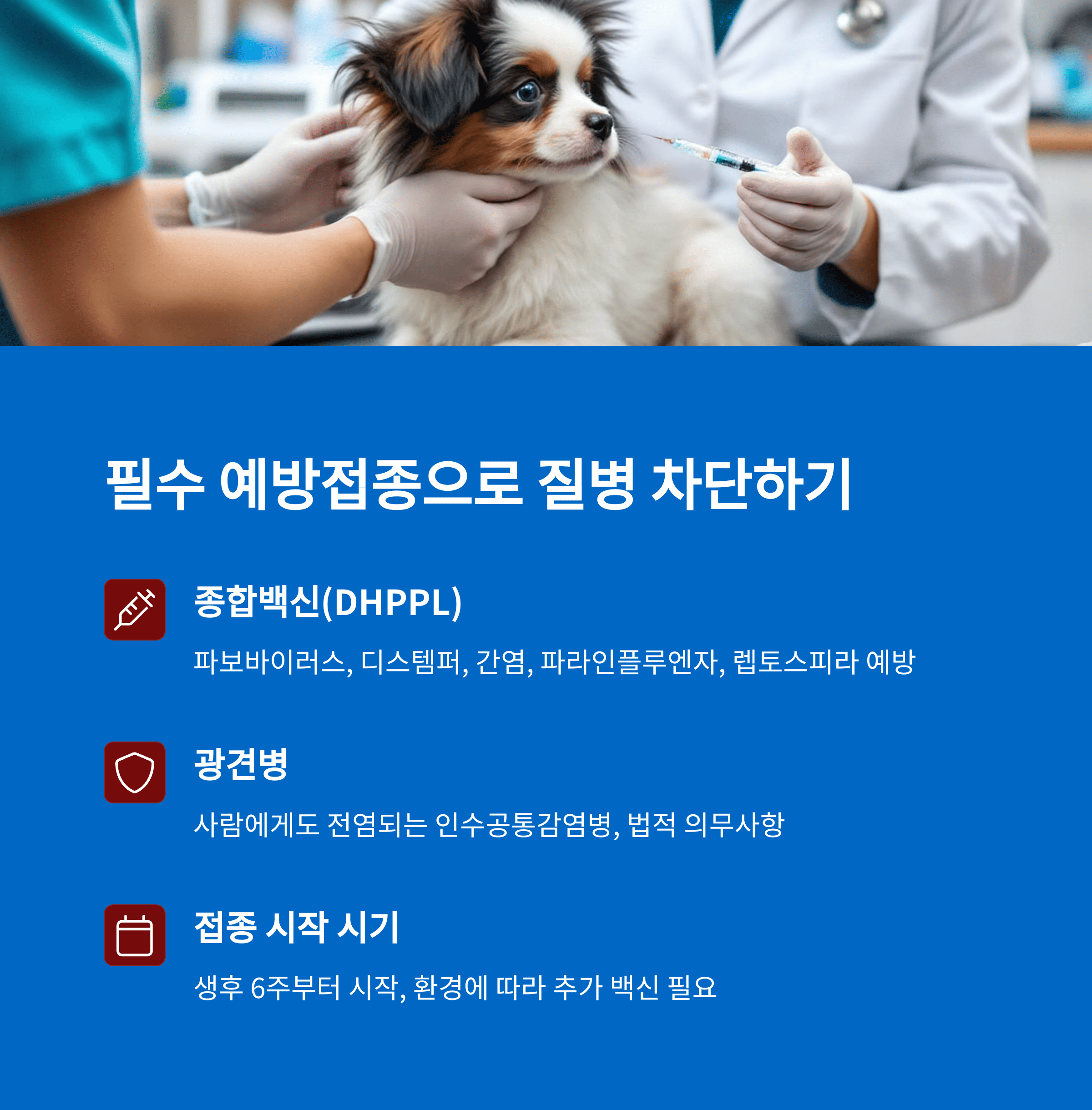 강아지예방접종