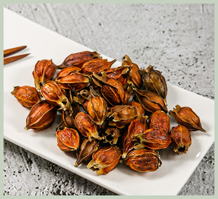 치자 효능 복용법