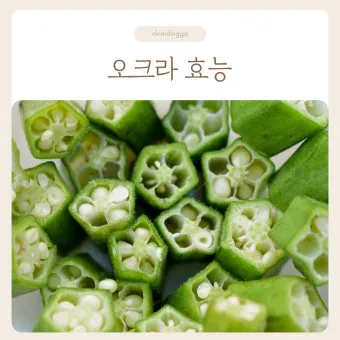 오크라 효능 재배법 손질 수확 요리 보관까지 한눈에 보기_7
