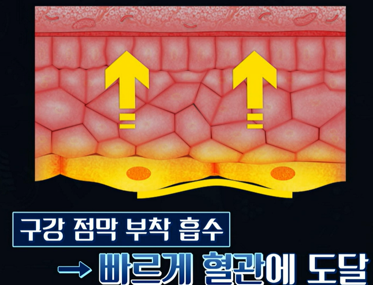 글루타치온 복용법 