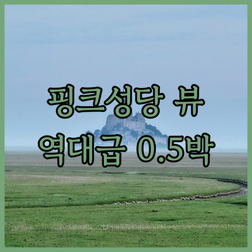 핑크성당 뷰가 내 방 안으로 들어오는..