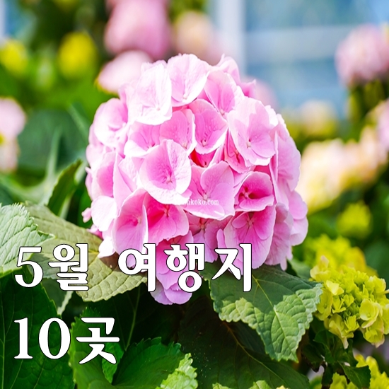 5월 여행하기 좋은곳