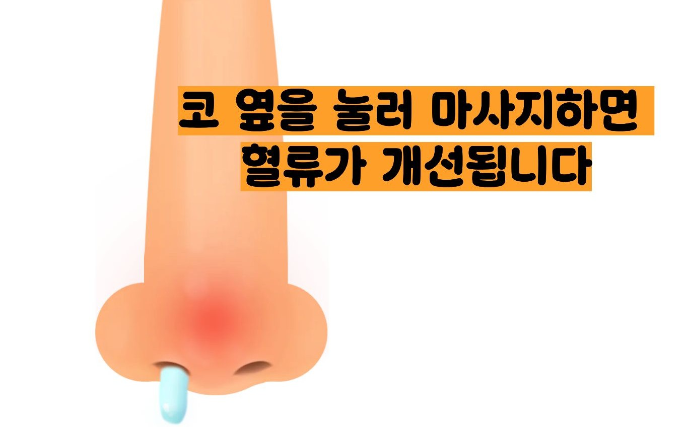 코 막힘 한번에 해결 방법