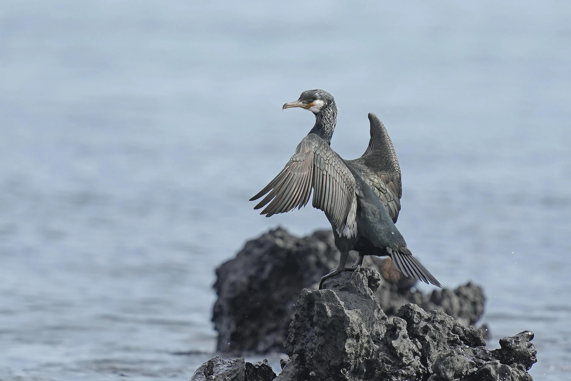 감정 경험을 삶의 서사로 통합하는 뇌과학적 조건