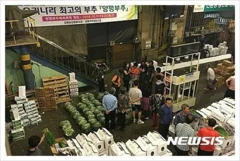 가락동 농산물 경매시세 실시간 확인 완벽 농산물 정보_6