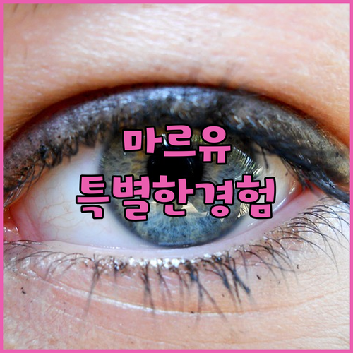 마르유 사무이 호텔, 기대 이상의 경