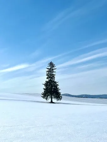 일본 삿포로 위치 지도와 여행 팁으로 소개_7