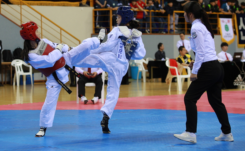 미래 국가대표 찾기! 영광 스포티움 뜨겁게 달굴 대회