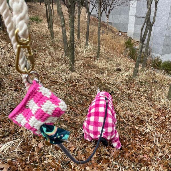 강아지가 핑크체크무늬옷을입고 똥을싸고있다