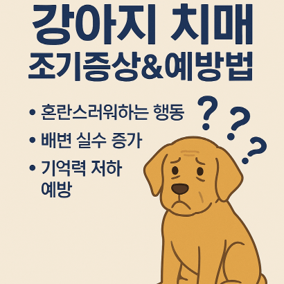 강아지 치매 초기증상 자가 진단법 & 예방 가이드