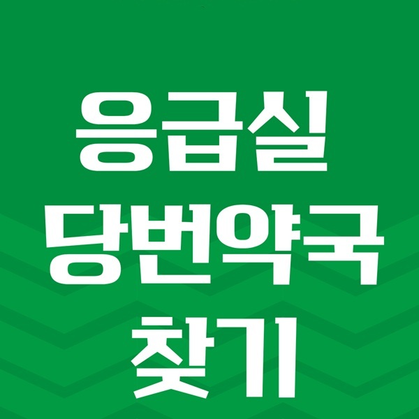 의정부·남양주·구리 설 연휴 구정 휴일 명절 응급실·당번약국 찾기