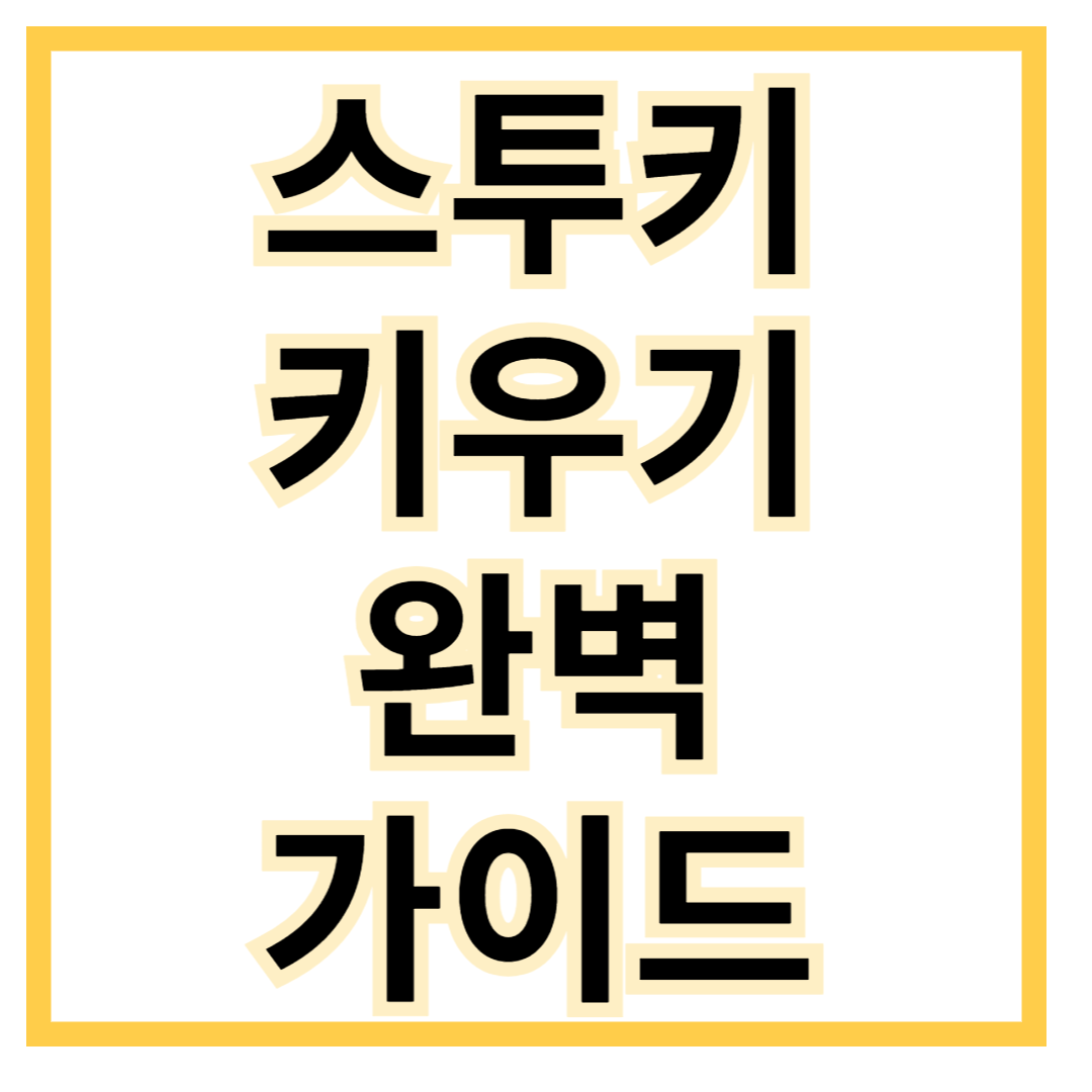 스투키-키우기
