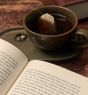 책 읽기 습관 기르기