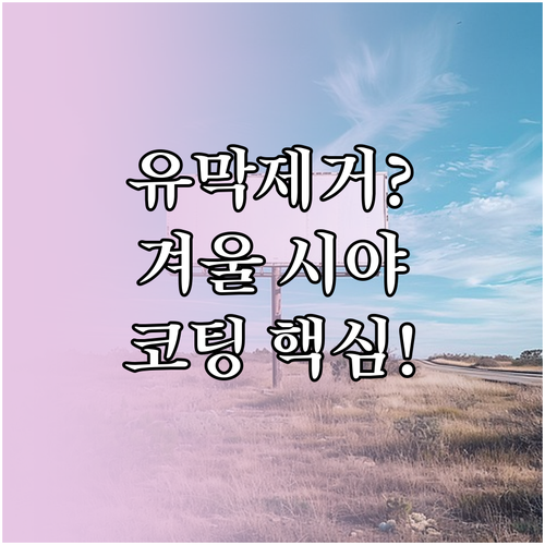 겨울철 시야 확보 핵심 와이퍼 코팅 ..