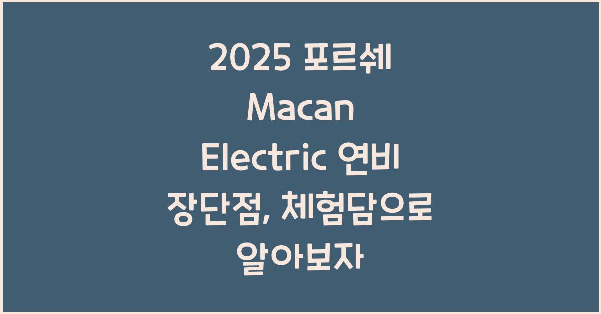 2025 포르쉐 Macan Electric 연비 장단점