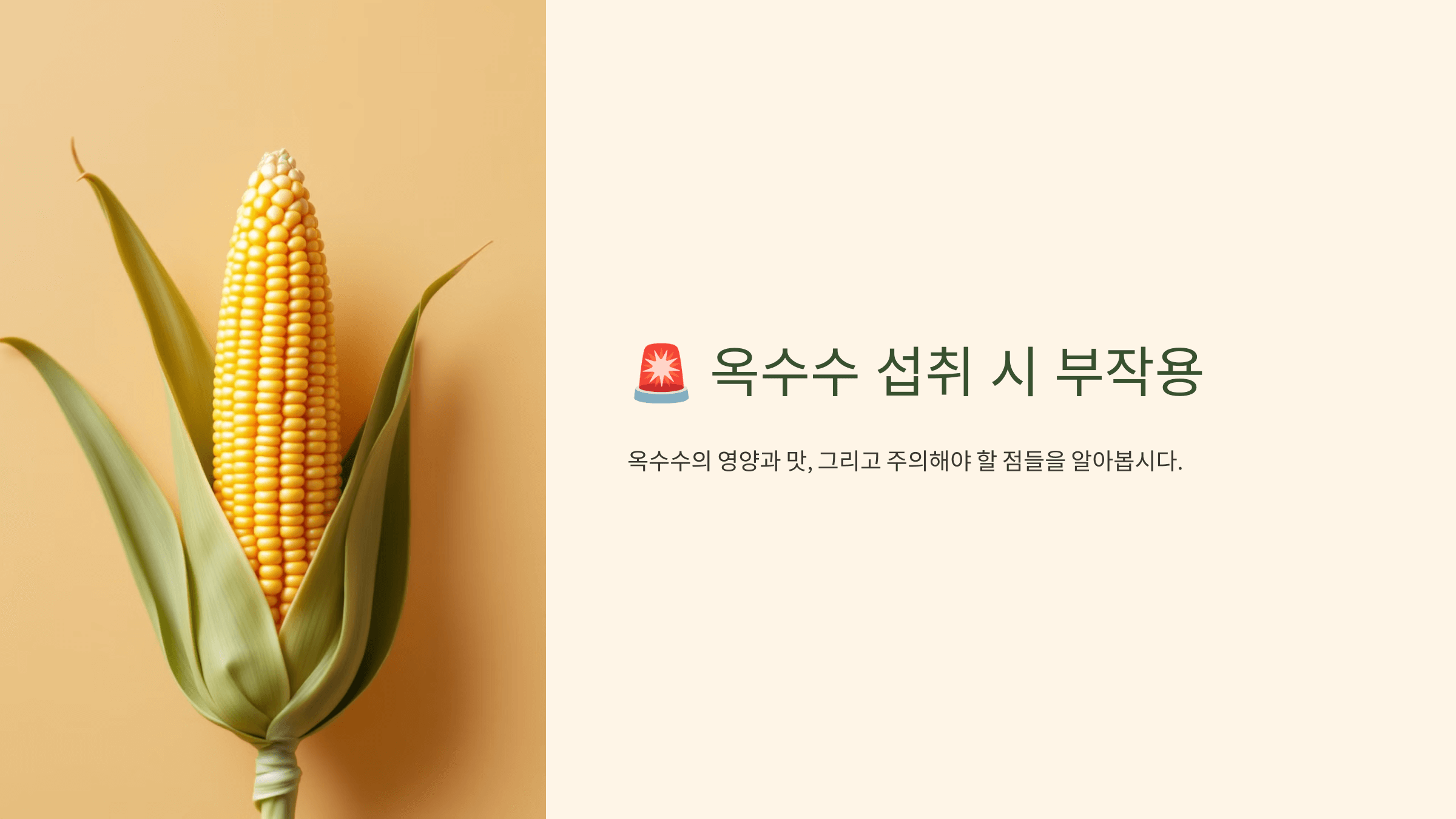 옥수수 사진입니다.